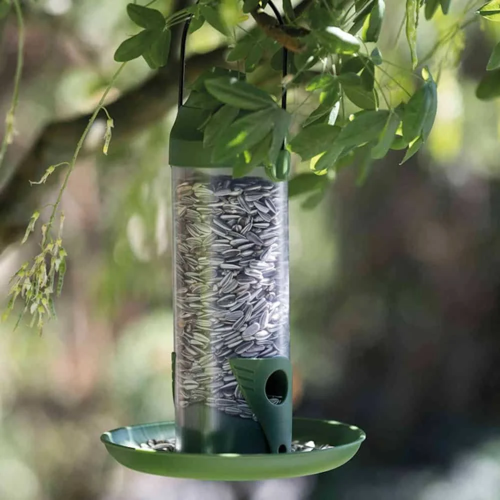 Colún Bia, Plaisteach, 500ml-2