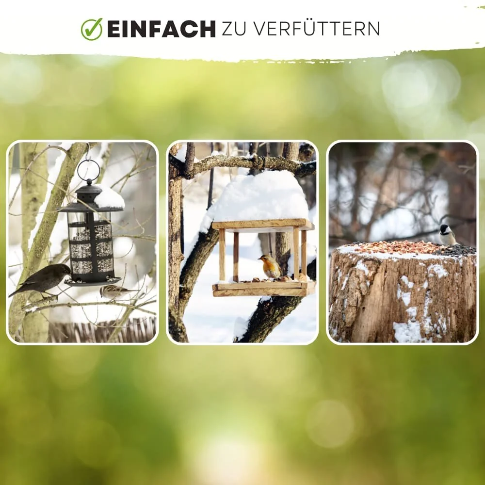 20kg Flocka Bia-Geire Préimhe le Síolta Lus na Gréine Scafa agus Rísíní-3