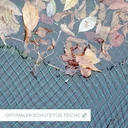 Eangach cosanta éan agus locha 2 m x 3 m (6m²)-2