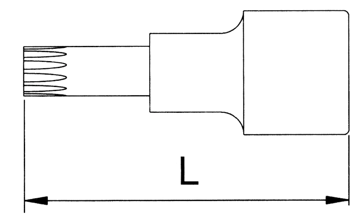 1/2" Spline-Nuss M10 CrV (S2) - kurze Ausführung - XZN -  (10 St.)#_3