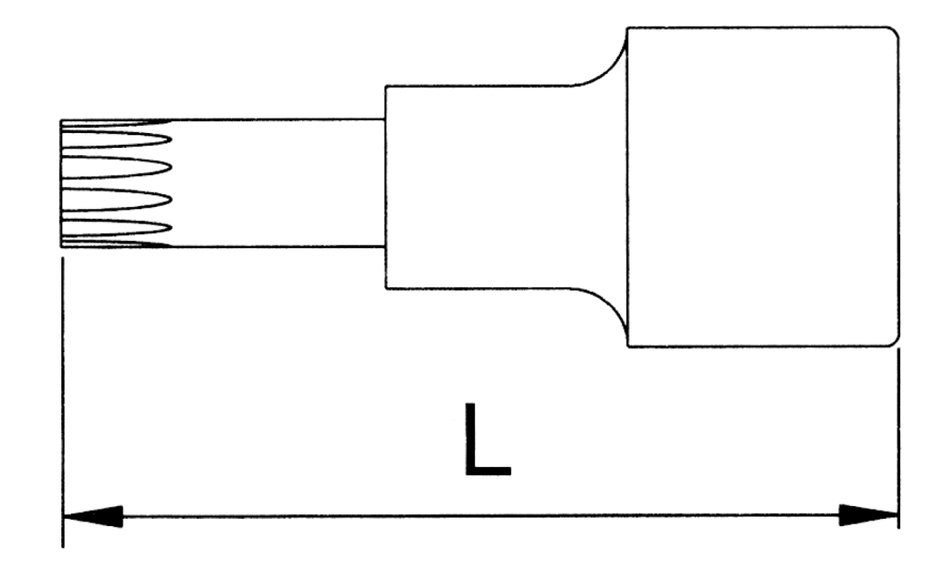 1/2" Spline-Nuss M6 CrV (S2) - kurze Ausführung - XZN -  (10 St.)#_3