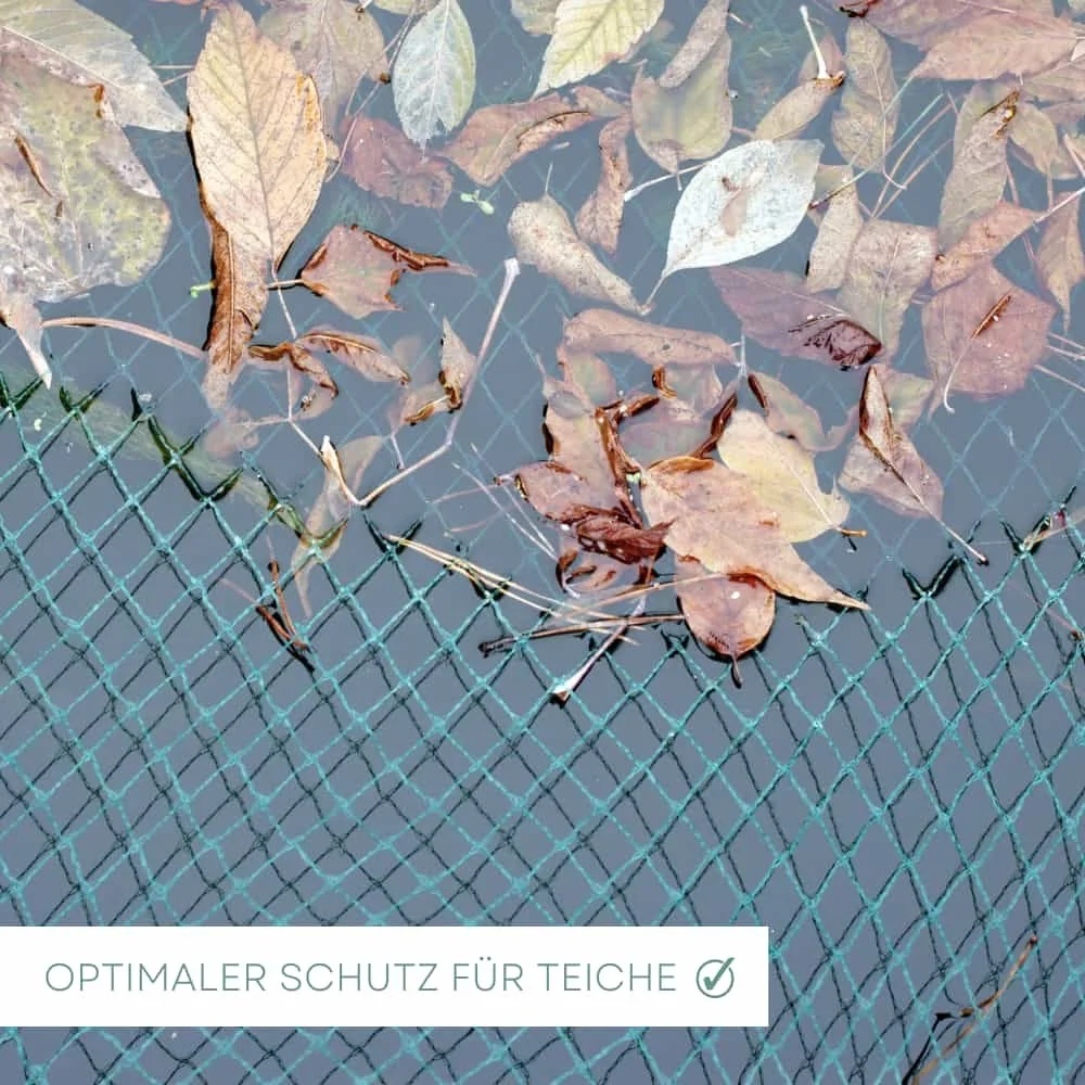 Líon Cosanta Éan agus Linn 4 m x 15 m (60m²)-2