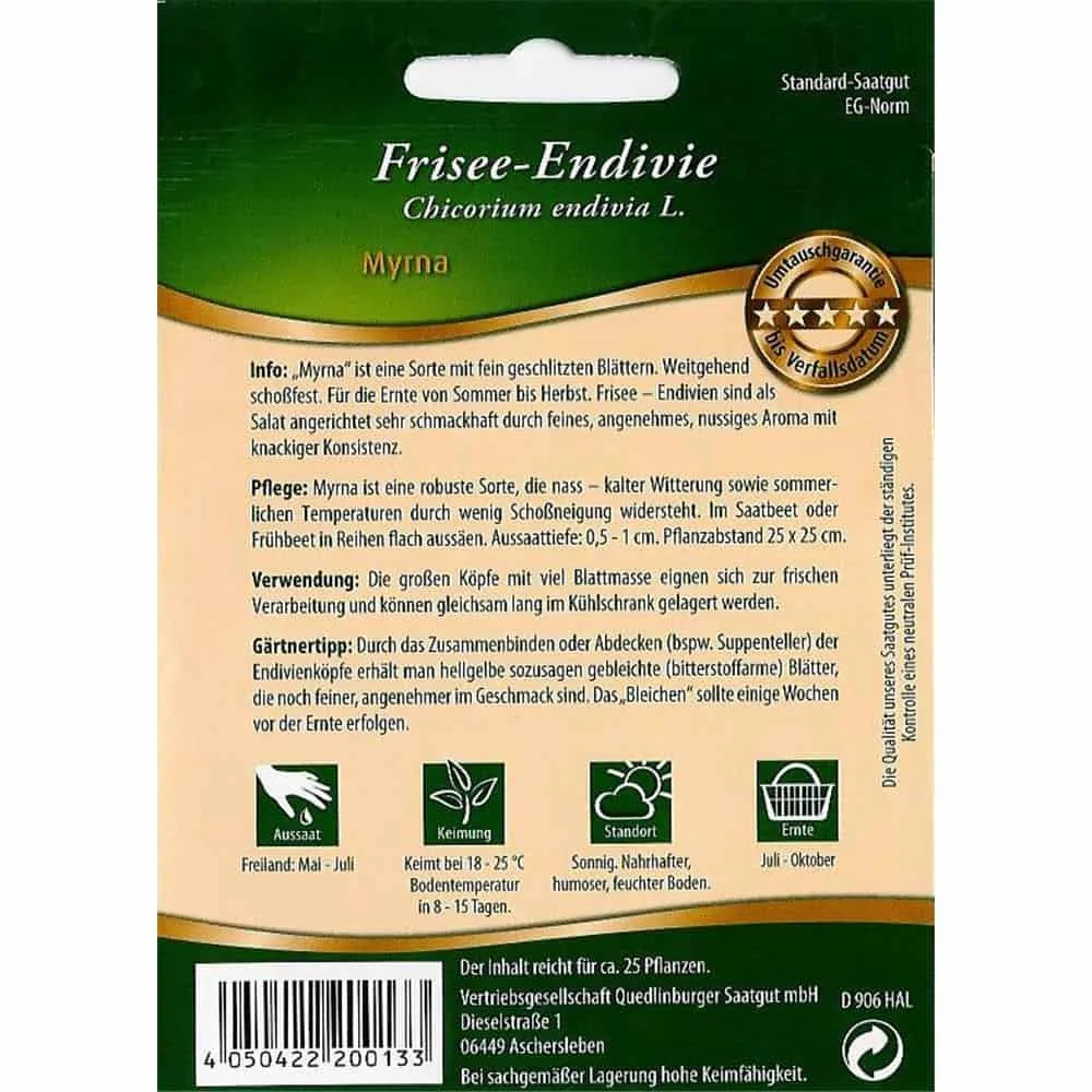 Frisée-Endivie, Myrna-0
