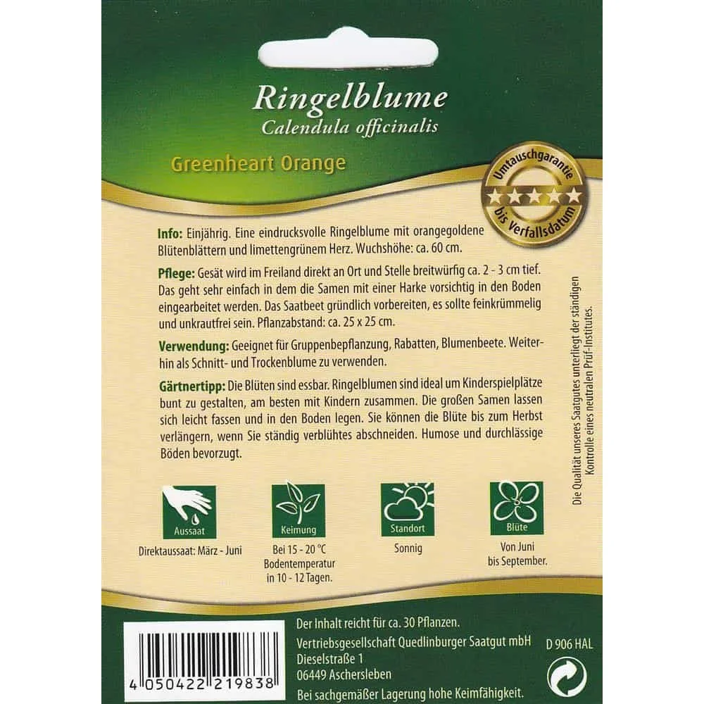 Cailleach Dhearg, Croí-uisce glas-0