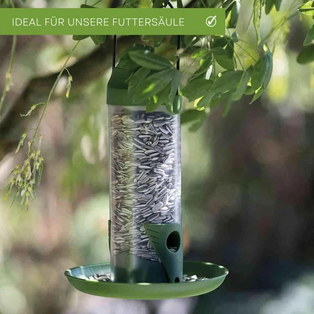 Síolta lus na gréine dubh 25 kg, Bia éan-0