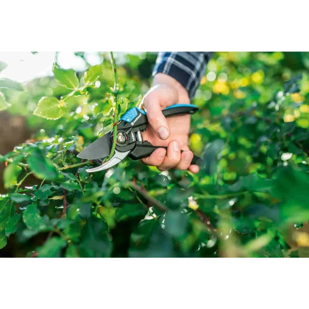 Lopóir Bypass ERGO-0