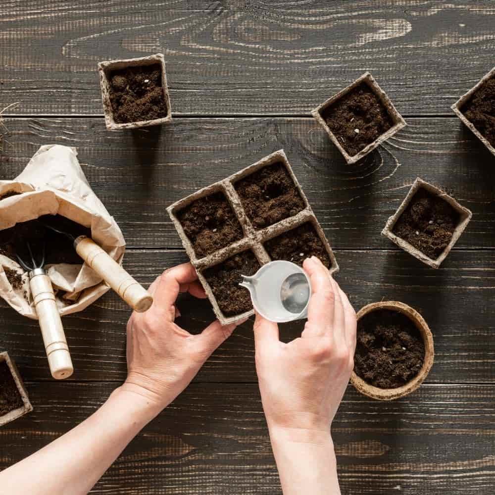 Pláta Fáis 6 x 6 cm, 8 bpota ochtagánacha in aghaidh an phláta, in-bhithmhillte-0