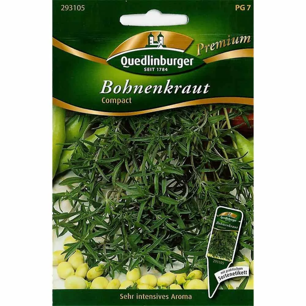 Bergbohnenkraut, mehrjährig
