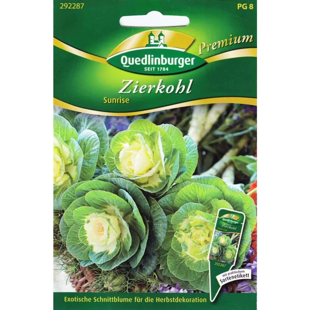 Cál Ornáideach 'Sunrise' a Cheannach | Plandaí Geimhridh Crua-fhuar