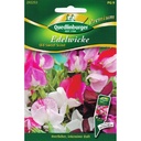 Síolta Pea Milis a Cheannach, Síolta Bláthanna Cumhra, Piseanna Bláthúla