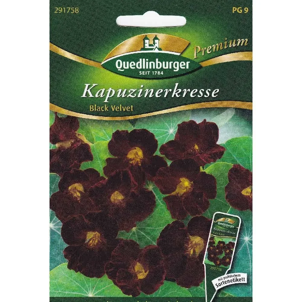 Síolta Nasturtium Black Velvet