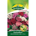 Síolta Lus na mBart, Síolta Bláthanna Gairdín