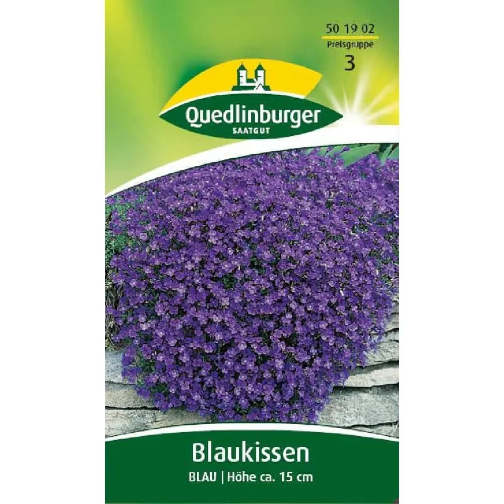 Ceannaigh Blaukissen Gorm: Plandaí Crua-Gheimhridh do Ghairdín