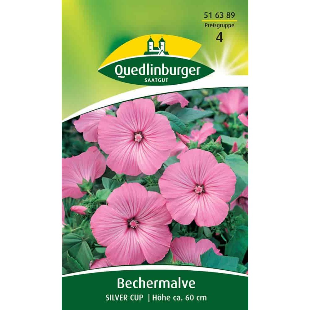 Ceannaigh Bechermalve Silver Cup | Síolta Bláthanna Gairdín