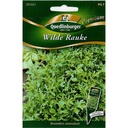 Síolta Rúcáil Fhiáin a Cheannach