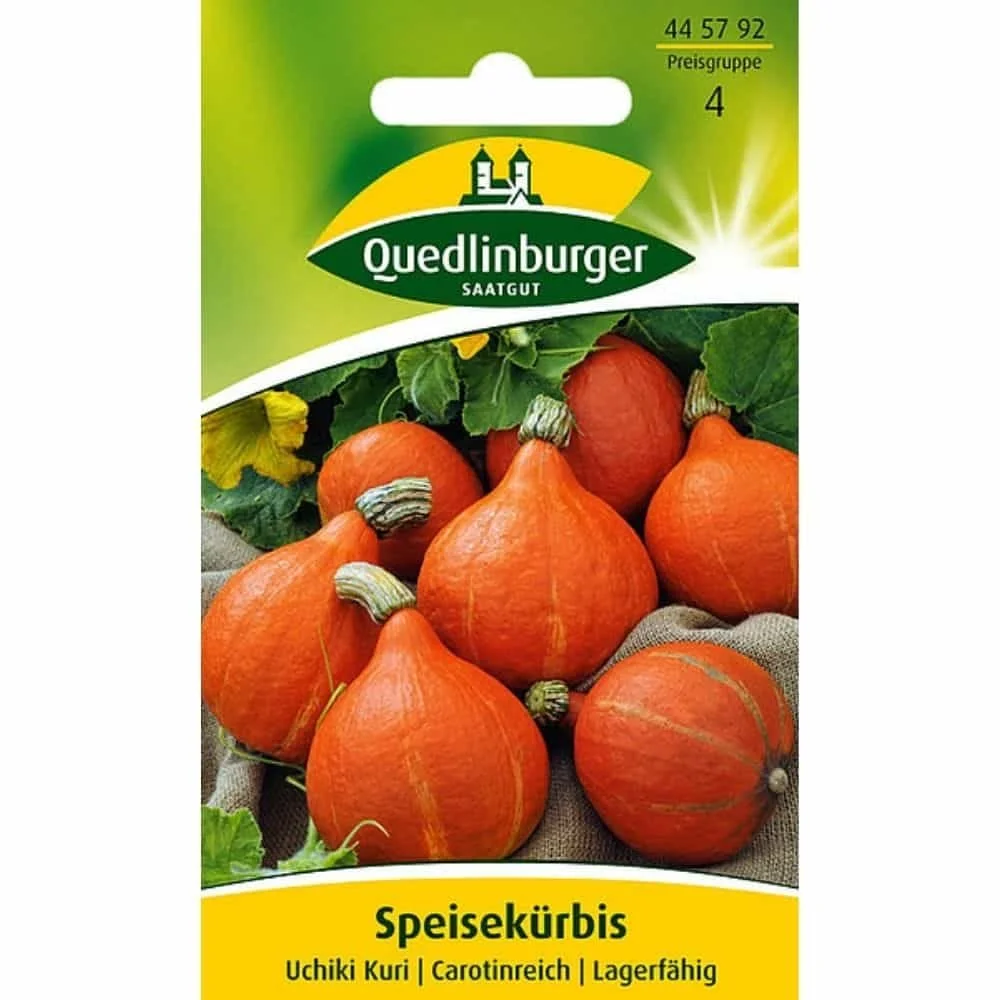 Síolta Pumpkin Uchiki Kuri
