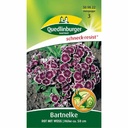 Síolta Lus na mBartnelke Dearg agus Bán