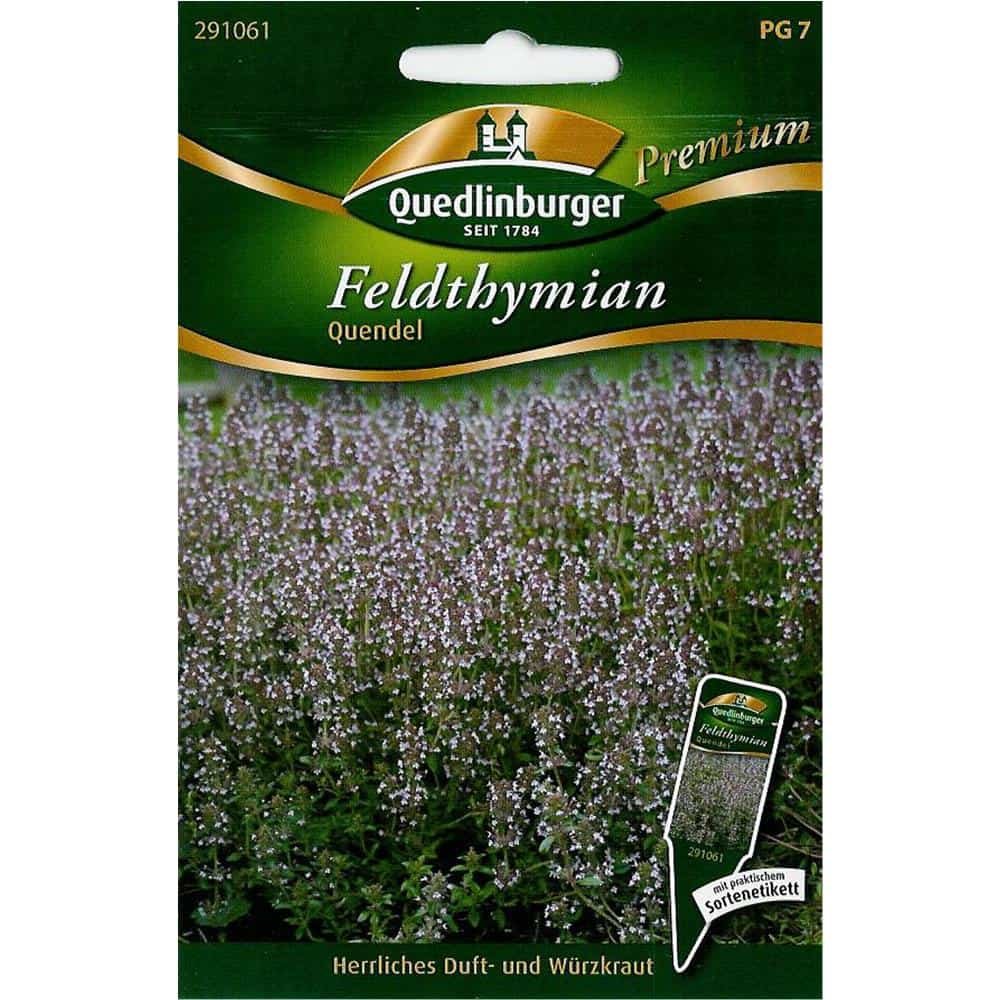 Tymian Allamuigh, Quendel, Clúdach Talún Tymian Ilbhliantúil