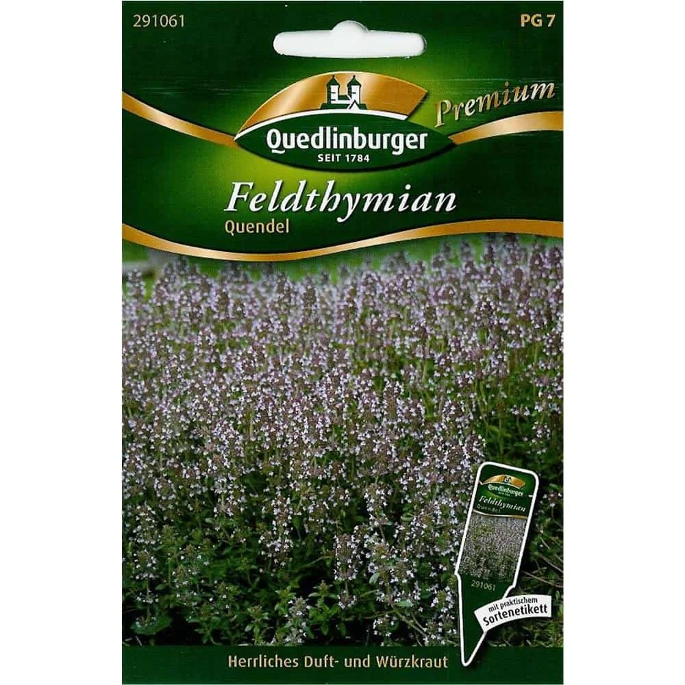 Tymian Allamuigh, Quendel, Clúdach Talún Tymian Ilbhliantúil