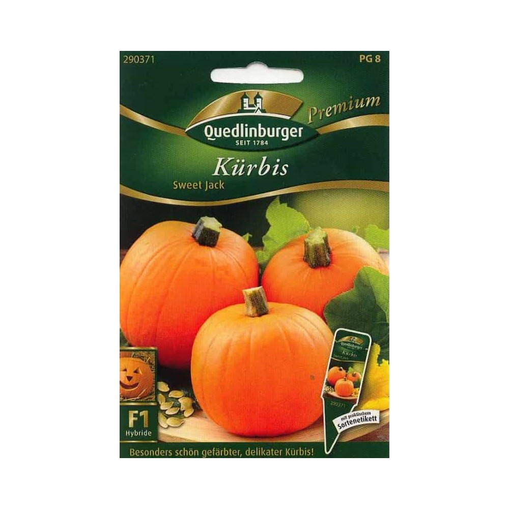 Síolta Pumpkin 'Sweet Jack F1' | Cur Bí & Maisiú Oíche Shamhna