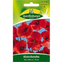 Síolta poipín dearg, Bláthanna samhraidh le haghaidh Gairdín Nádúrtha