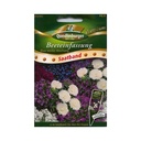 Banda Síolta Imréitigh Línte Gairdín, meascán gorm-bán