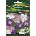 Síolta Lus an Chroimchinn Dreapadóireachta le haghaidh Balcóin & Gairdín