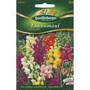 Síolta Snapdragon 'Cutting Star' le Boni: Síolta Bláthanna Gearrtha