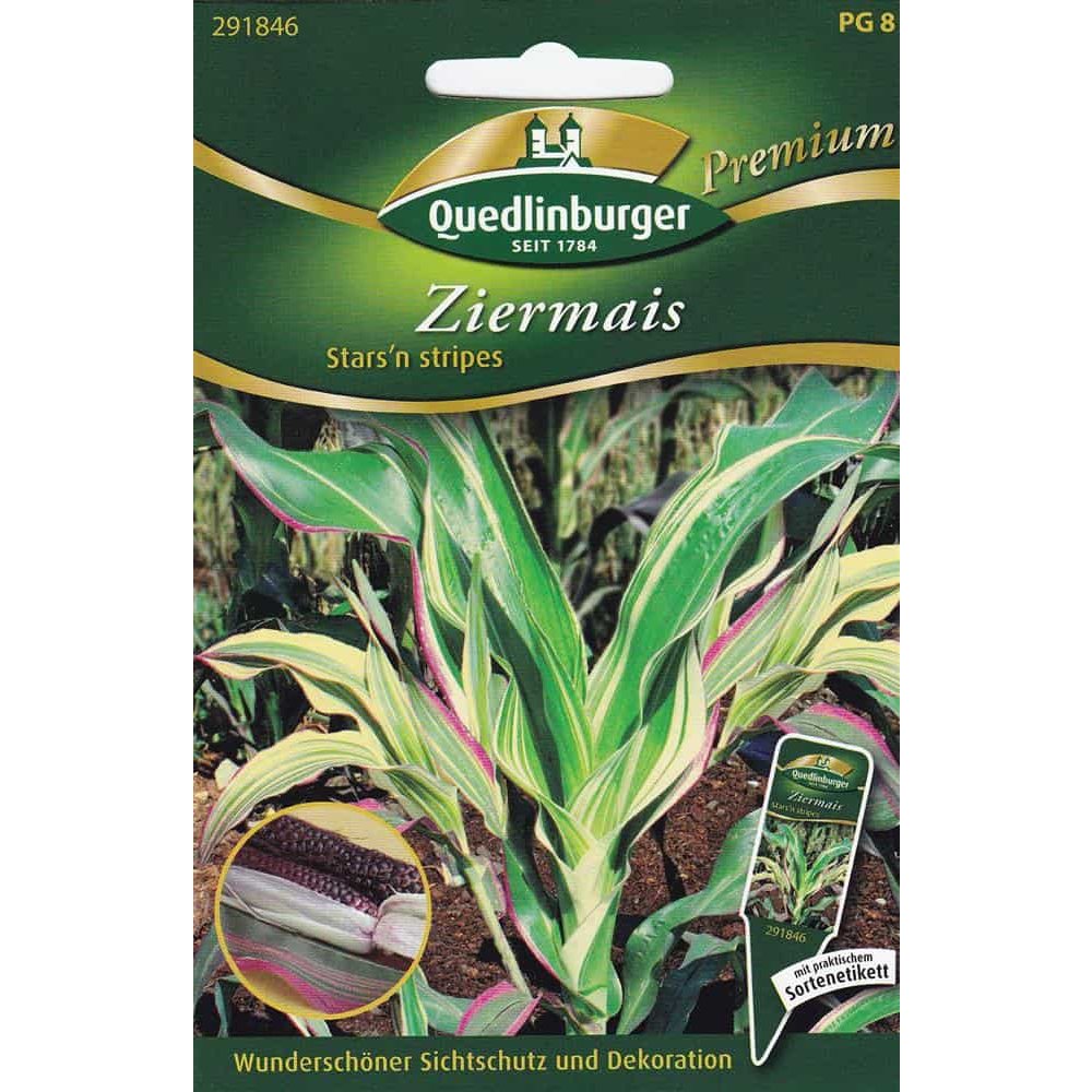 Mais Ornáideach 'Stars & Stripes' do Ghairdín