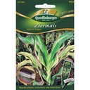 Mais Ornáideach 'Stars & Stripes' do Ghairdín