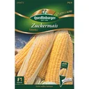 Síolta Arbhar Milis: Fás & Bain do Chuid Arbhar Féin