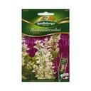 Ceannaigh Síolta Clary Sage, Planda Clary Sage, Luibhleighis