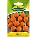 Síolta Cairéad 'Pariser Markt 5', Síolta Glasraí Luatha