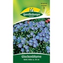 Glochblume Ghairdín, Bláthanna Gorma Campanula