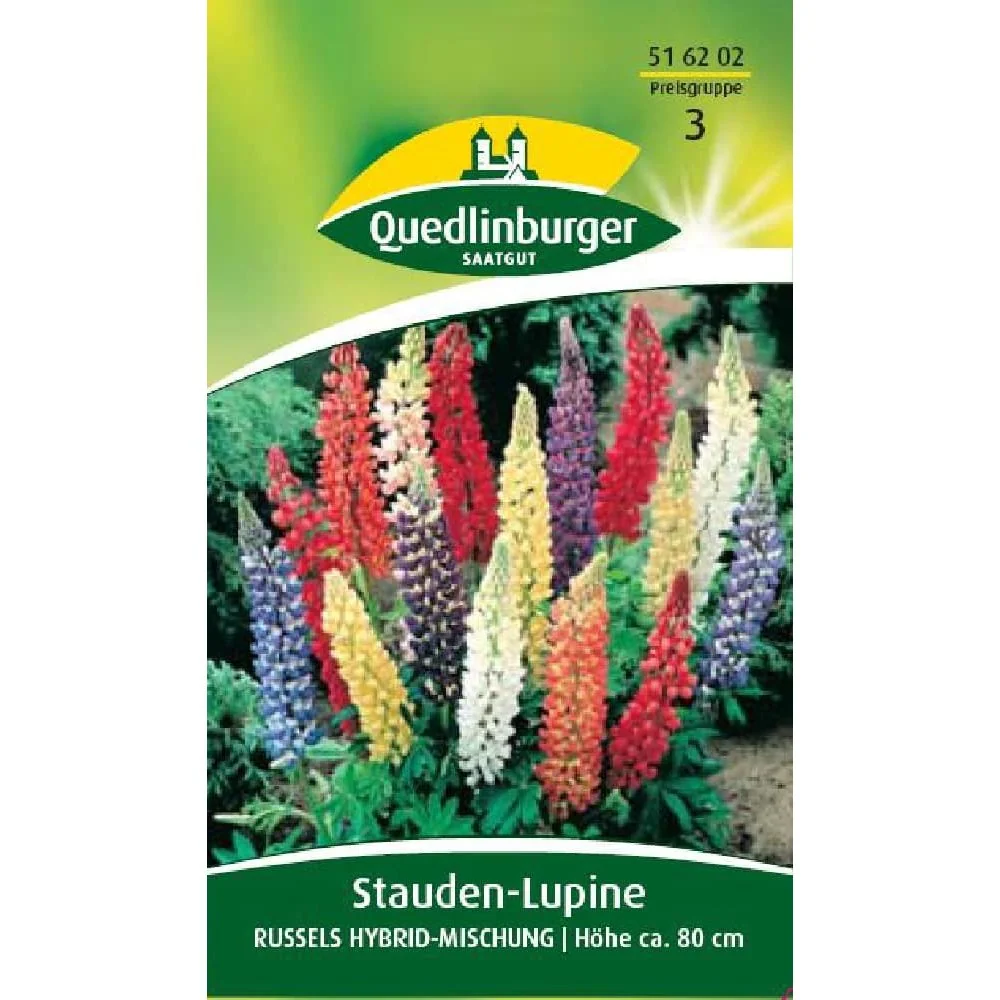 Síolta Lupine a Cheannach, Lupain Ilbhliantúil Russels Hybrid, Boni-Shop