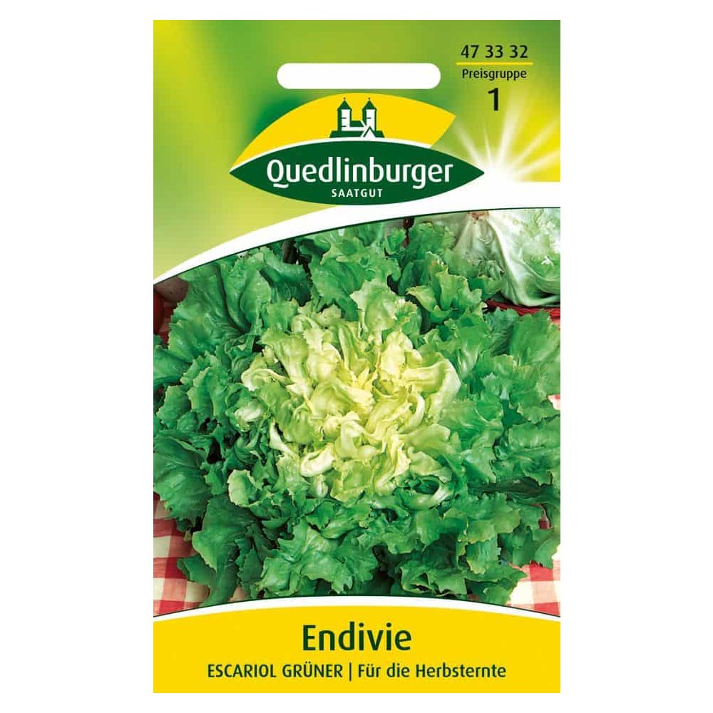 Síolta Endive Escariol Glasa