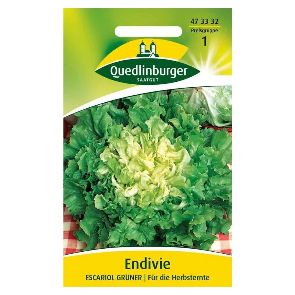 Síolta Endive Escariol Glasa