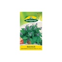 Síolta Borrach, Planda Borrach, Borrach a Fhás