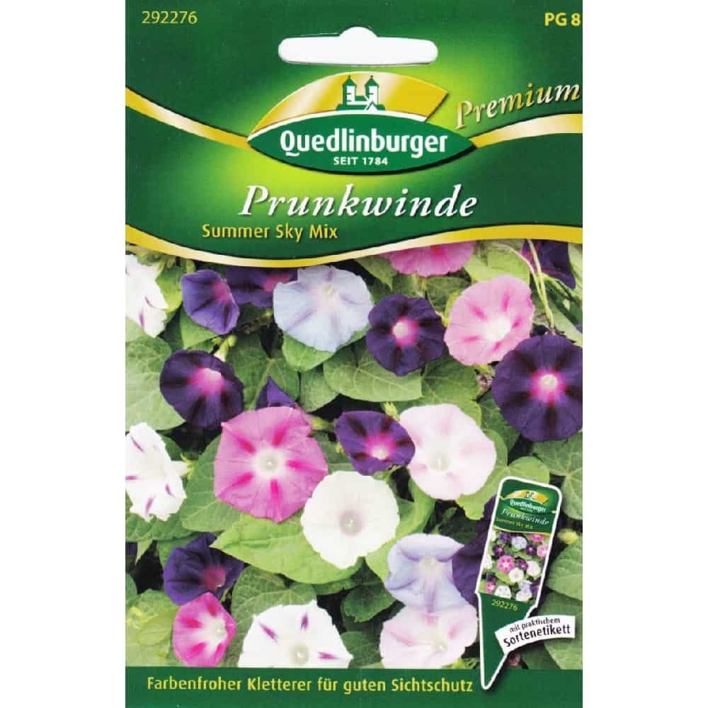 Glóir na Maidine Summer Sky Mix - Planda Dreapadóireachta Bliantúil