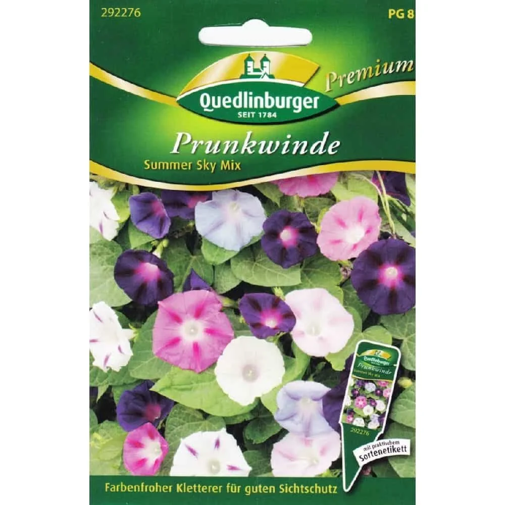 Glóir na Maidine Summer Sky Mix - Planda Dreapadóireachta Bliantúil