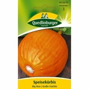 Síolta Pumpkin Big Max