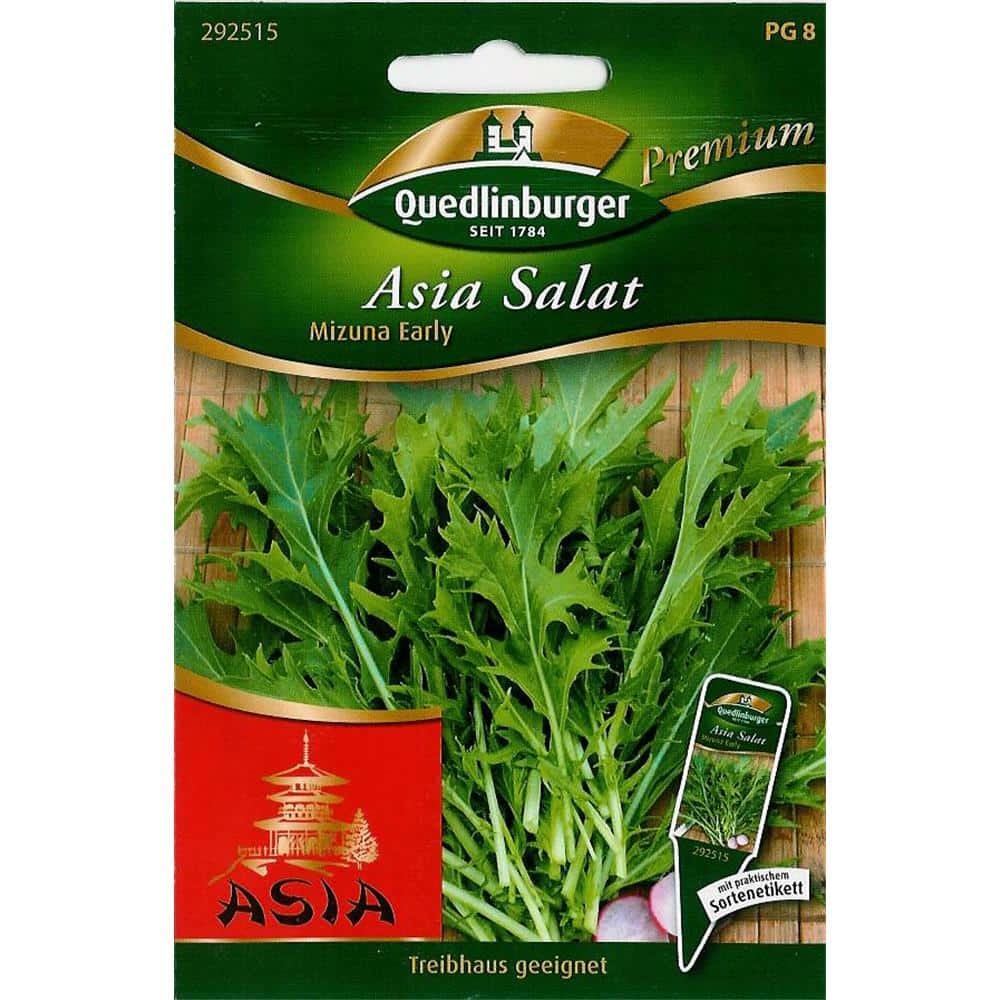 Síolta Sailéid Mizuna, Sailéad Áiseach Luath