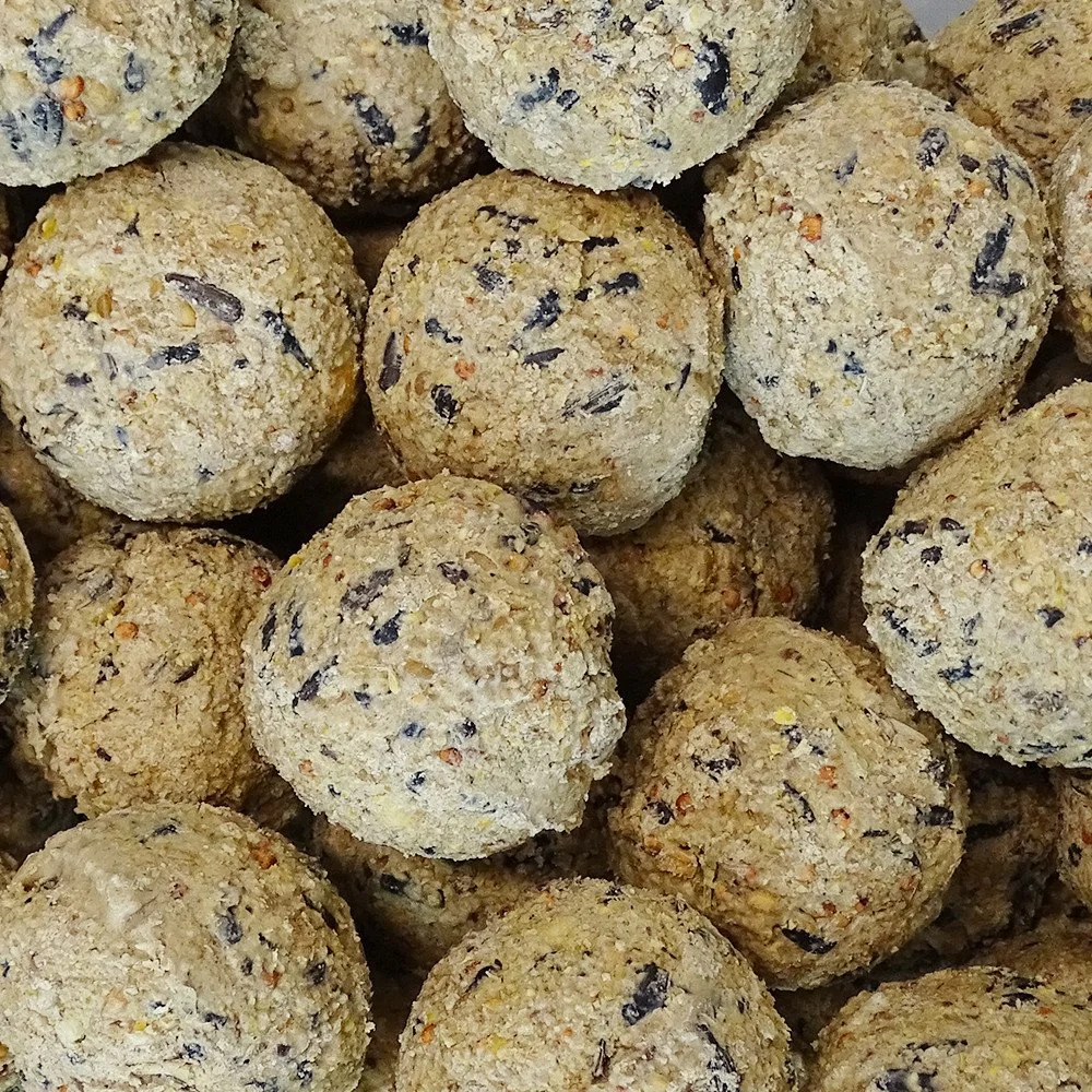 Cnónna cnoicín 100 x ca.90 g, 9kg, bia do éin fiáine, beatha saille gan líontán
