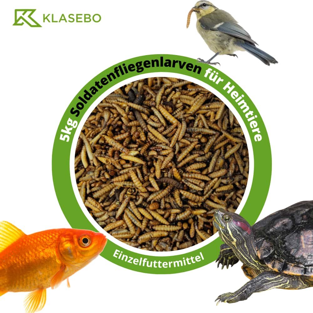 Larvaí Saighdiúr Dubh Triomaithe 5kg, Larvaí Hermetia Illucens, Bia Éan Fiáin, Bia Ainmhithe Terrarium
