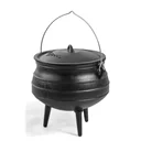 Citeal Iarann Teilgthe 6 Lítear le haghaidh Cócaireachta Allamuigh