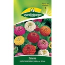Síolta Zinnia Liliput Meascán, Síolta Bláthanna Samhraidh