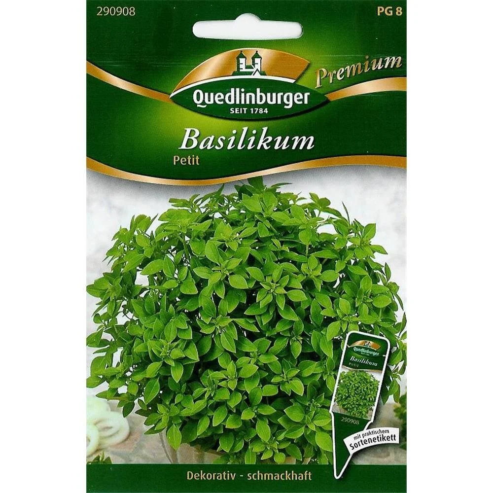 Basilicum Petit, síolta basil, luibh cumhra do ghairdín