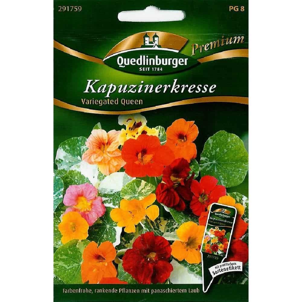 Síolta Lus na bhFrancach Variegated Queen, Planda Dreapadóireachta Inite ó Boni-Shop