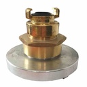 Cúpláil Storz B, Feistiú Trasdula do Chórais Éagsúla