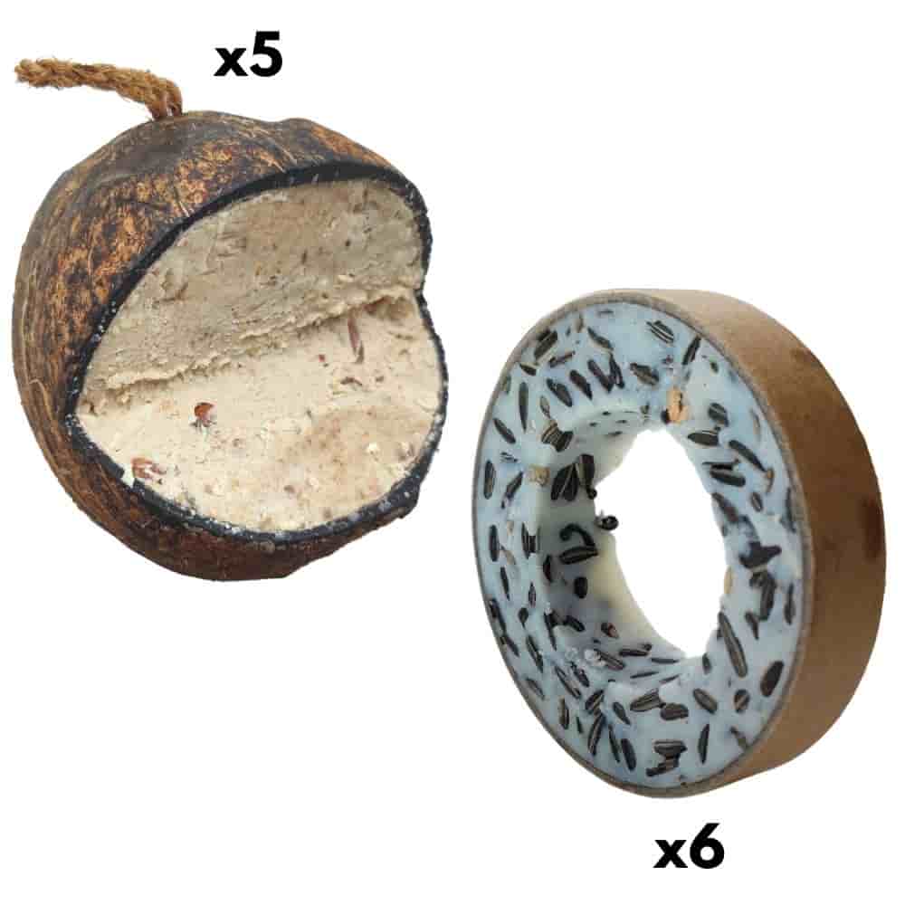 Bia Éan Gairdín: Fáinní Síl & Cnó Cócó